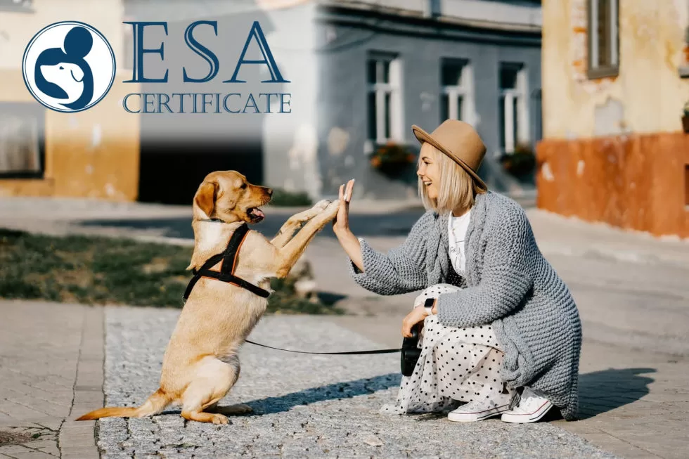 Get Esa Certificate For Dogs